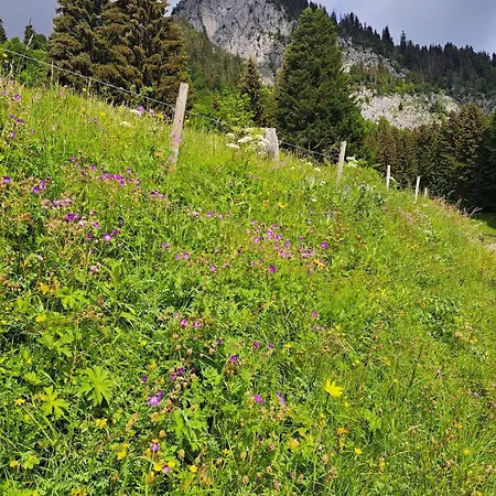 Apartamento Torgon Portes Du Soleil *