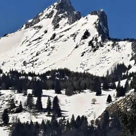 Torgon Portes Du Soleil *