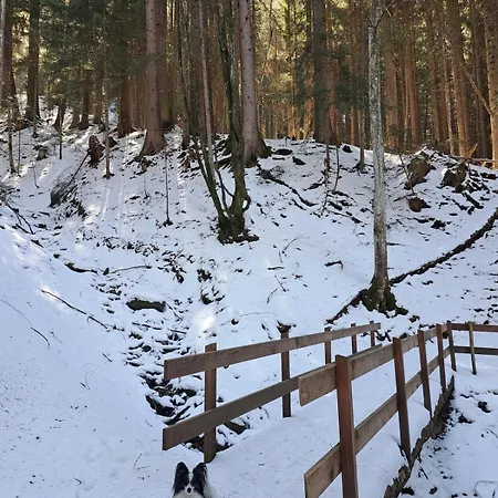 Torgon Portes Du Soleil *